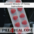 Leopard Miracle Of Honey Instructions 18